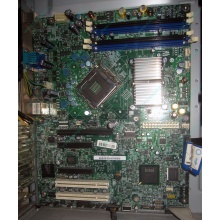 Материнская плата Intel Server Board S3200SH s.775 (Новочебоксарск)