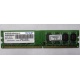 Модуль оперативной памяти 4Gb DDR2 Patriot PSD24G8002 pc-6400 (800MHz)  (Новочебоксарск)