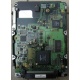 Жесткий диск 18.4Gb Quantum Atlas 10K III U160 SCSI (Новочебоксарск)