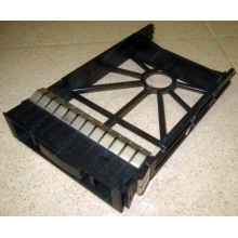 3.5" заглушки для серверов HP (Новочебоксарск)