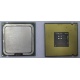 Процессор Intel Celeron D 336 (2.8GHz /256kb /533MHz) SL98W s.775 (Новочебоксарск)