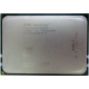 AMD Opteron 6128 OS6128WKT8EGO (Новочебоксарск)