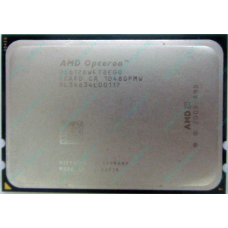 AMD Opteron 6128 OS6128WKT8EGO (Новочебоксарск)