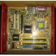 Материнская плата Asus P5L-VM 1394 s.775 (Новочебоксарск)